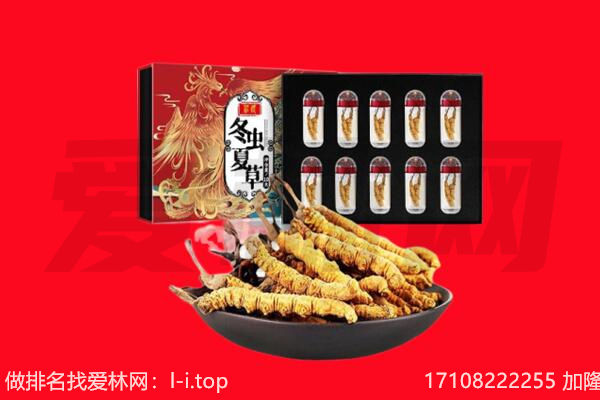 色尼区回收虫草.jpg